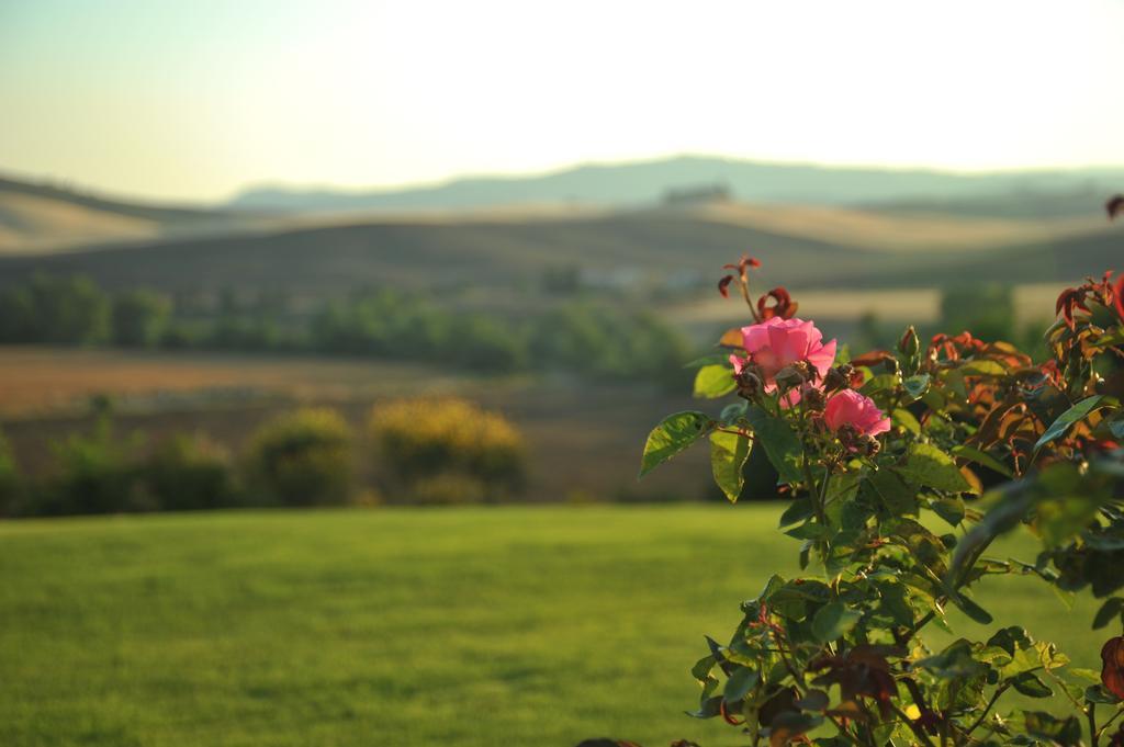 Bed and Breakfast L'Olmo Monticchiello Zewnętrze zdjęcie