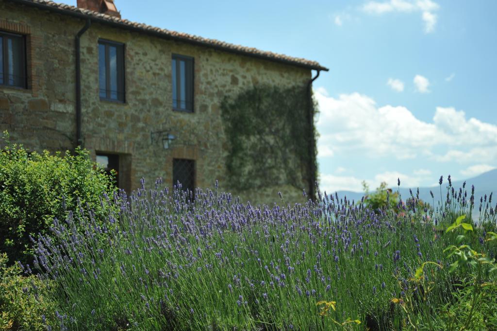 Bed and Breakfast L'Olmo Monticchiello Zewnętrze zdjęcie